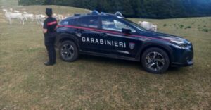 Poggio Bustone, blitz dei Forestali a tutela di decoro e salute