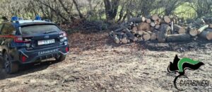 Rieti, sanzioni e verifiche dei Carabinieri Forestali sui tagli